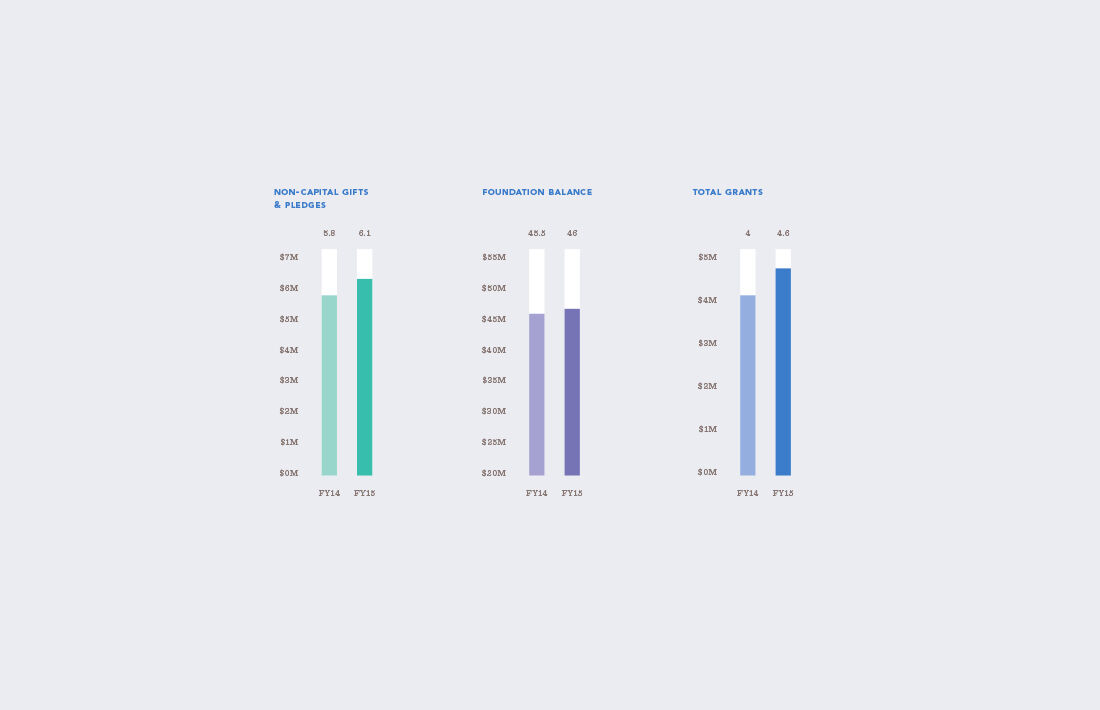 Menninger Annual Report Chart