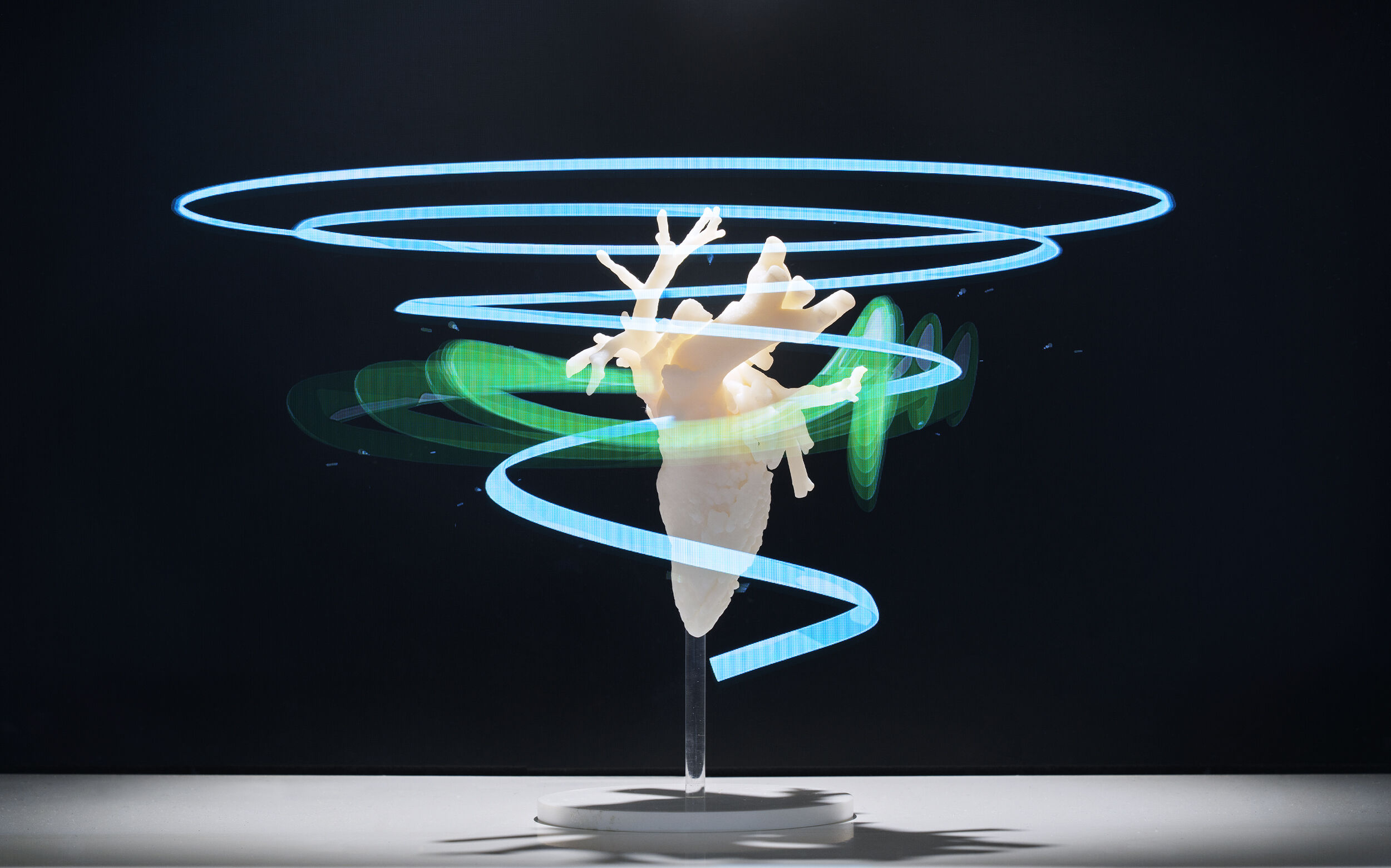 Nicklaus Childrens 3 D Hologram Heart Graphics